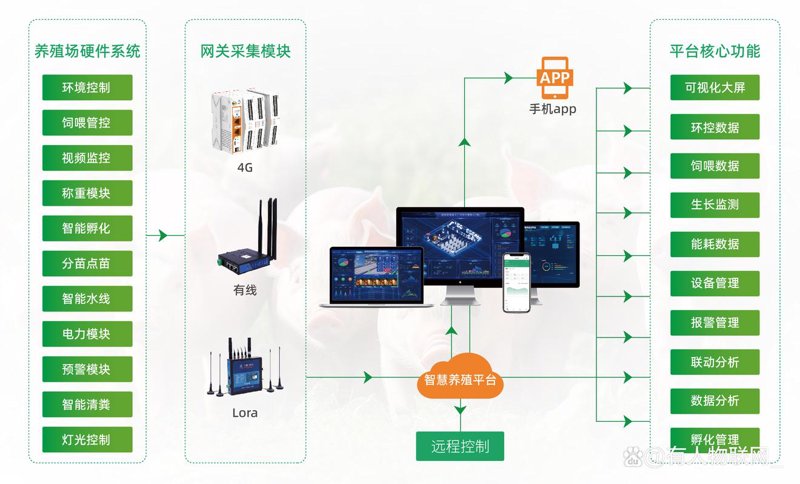智慧园区：提升管理效率的新趋势